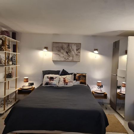 35M2 Hauts D'Albertville Terrasse Avec Vue Pallud Exteriör bild